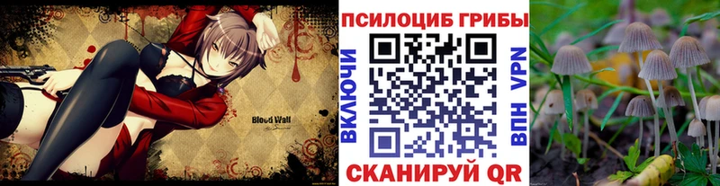 Галлюциногенные грибы Cubensis  где найти   Валдай 