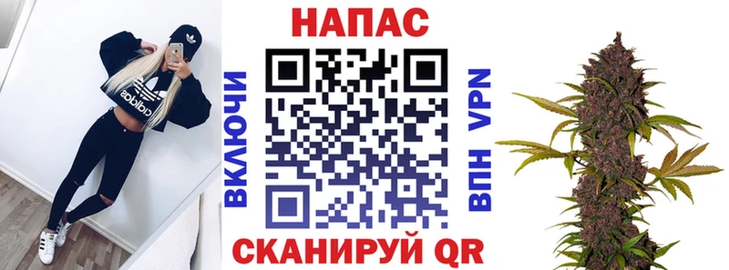 купить  сайты  Валдай  Бошки Шишки гибрид 